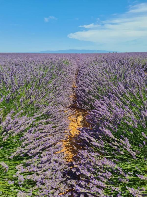 Вілла Escapades En Ventoux Венаск Екстер'єр фото